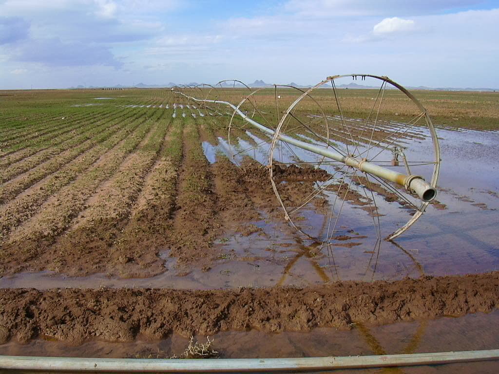 Professional Irrigation Services in Benbrook, TX for Custom Irrigation Needs