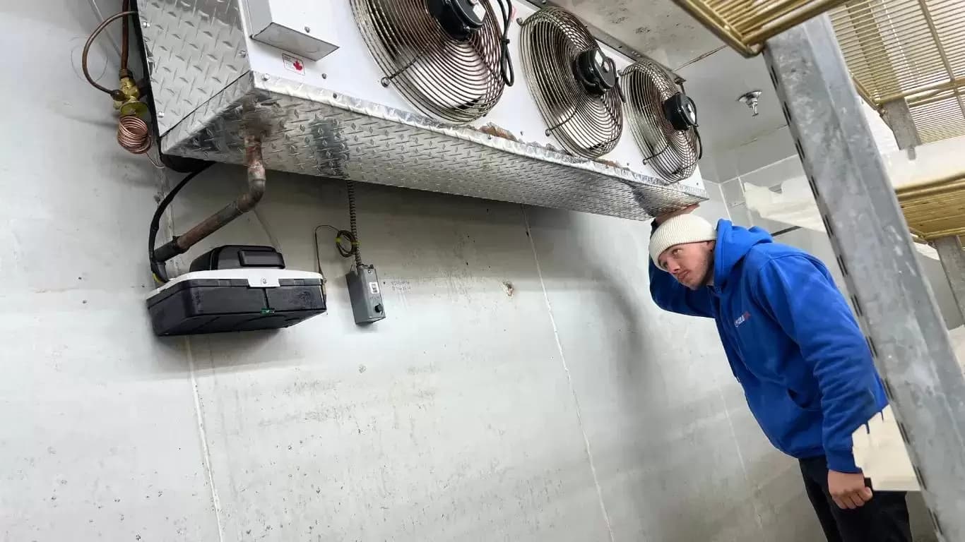 A Trusted Partner For Long-Lasting Walk-In Freezer Repair — RepairUs