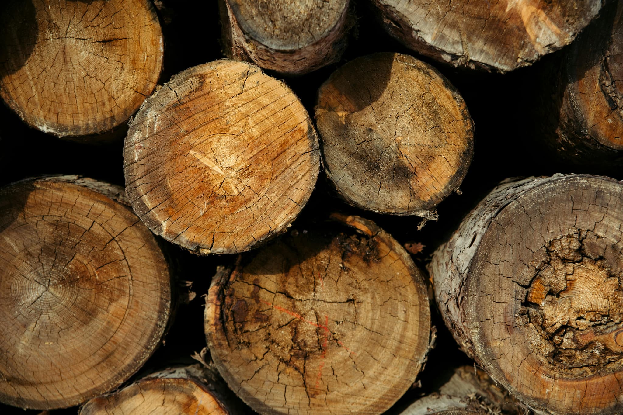 High-Quality Wood Briquette for Efficient Heating