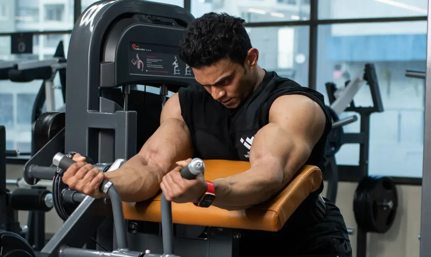 Types of Gym Benches – Complete Guide to Gym Bench Options | YINUO SPORT