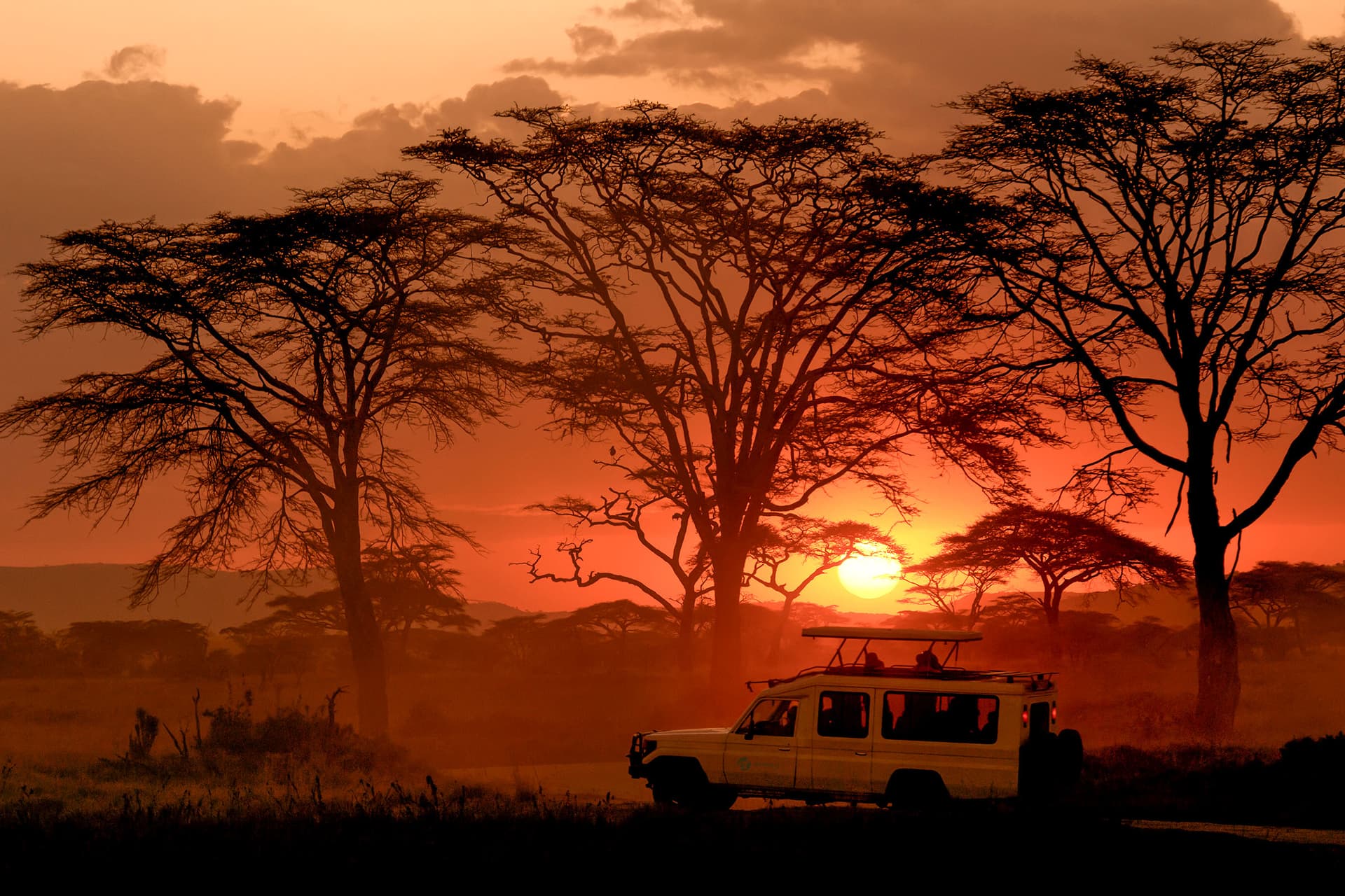 Mikumi National Park Tanzania Safari Deals: Book Your Dream Tour Today