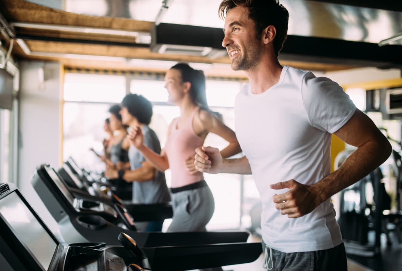 The Macro Blueprint: A Science-Backed Guide to Eating for Healthspan