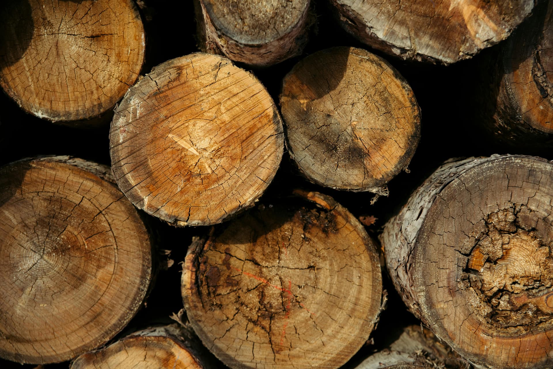 High-Quality Wood Briquette for Efficient Heating