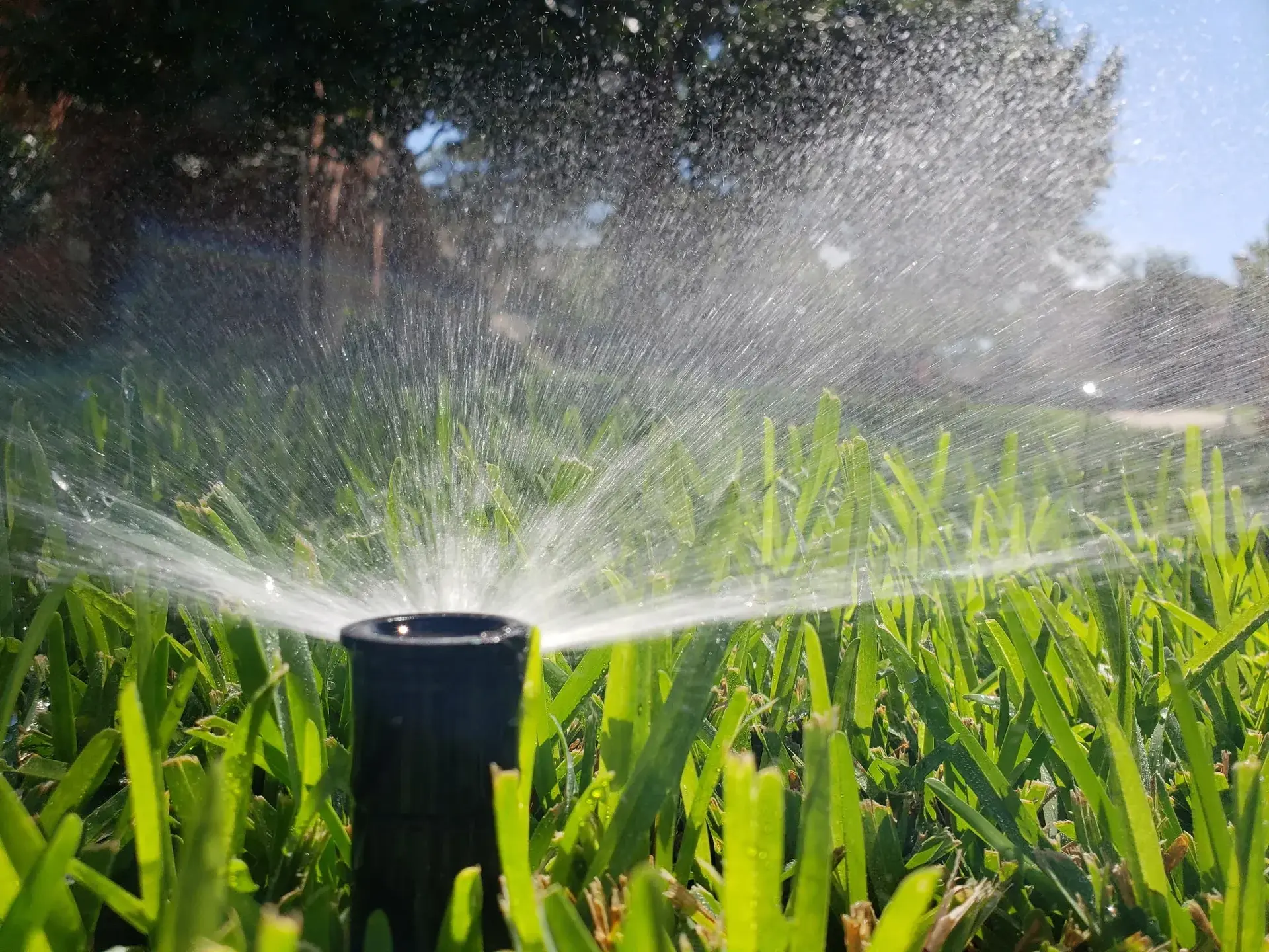 Expert Drainage Services in Azle , TX to Keep Your Lawn Healthy
