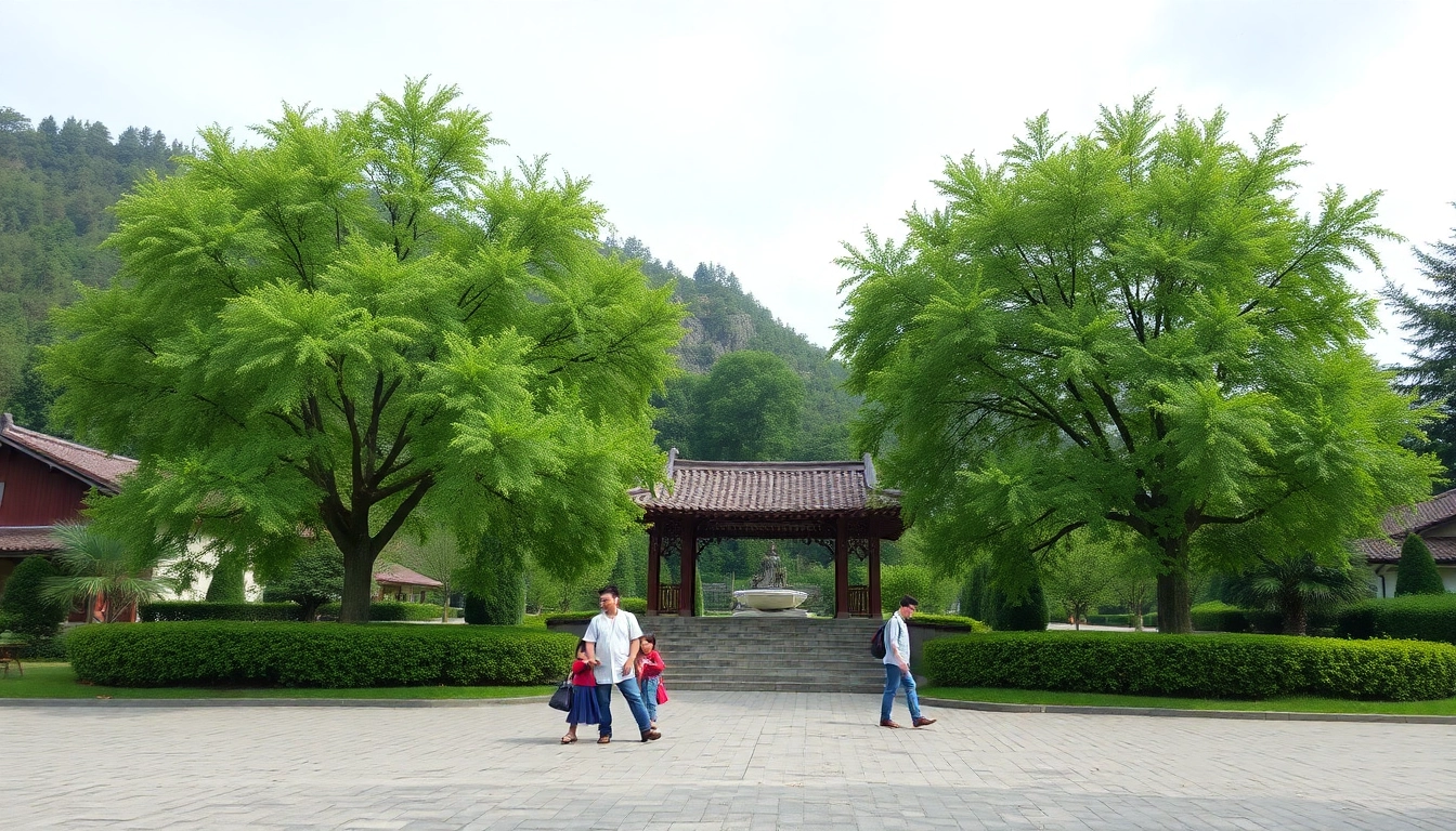 ดูหนังออนไลน์ฟรีที่ donungfree.tv – ประสบการณ์การชมภาพยนตร์ที่ไม่ควรพลาด