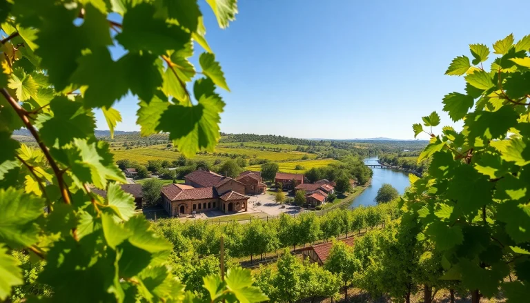 Discover the scenic beauty of Clarksburg, CA with vineyards along the Sacramento River.